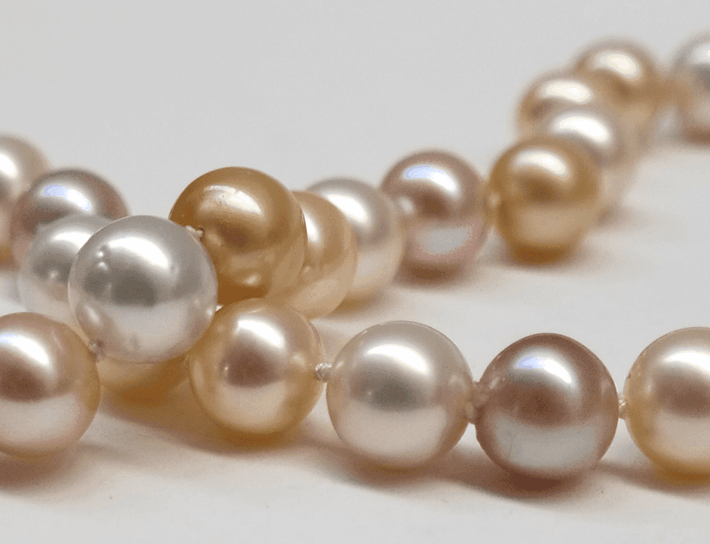 Detail of Pink freshwater pearls with white and golden South sea pearls, 10mm in diameter. 18 carat white gold clasp studded with 12 diamonds.